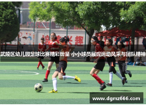武陵区幼儿园足球比赛精彩纷呈 小小球员展现运动风采与团队精神