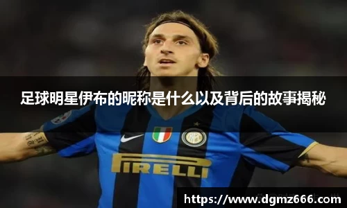 足球明星伊布的昵称是什么以及背后的故事揭秘